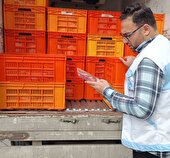 صدور گواهی حمل فرآورده‌های خام دامی مواکب اربعین در مازندران