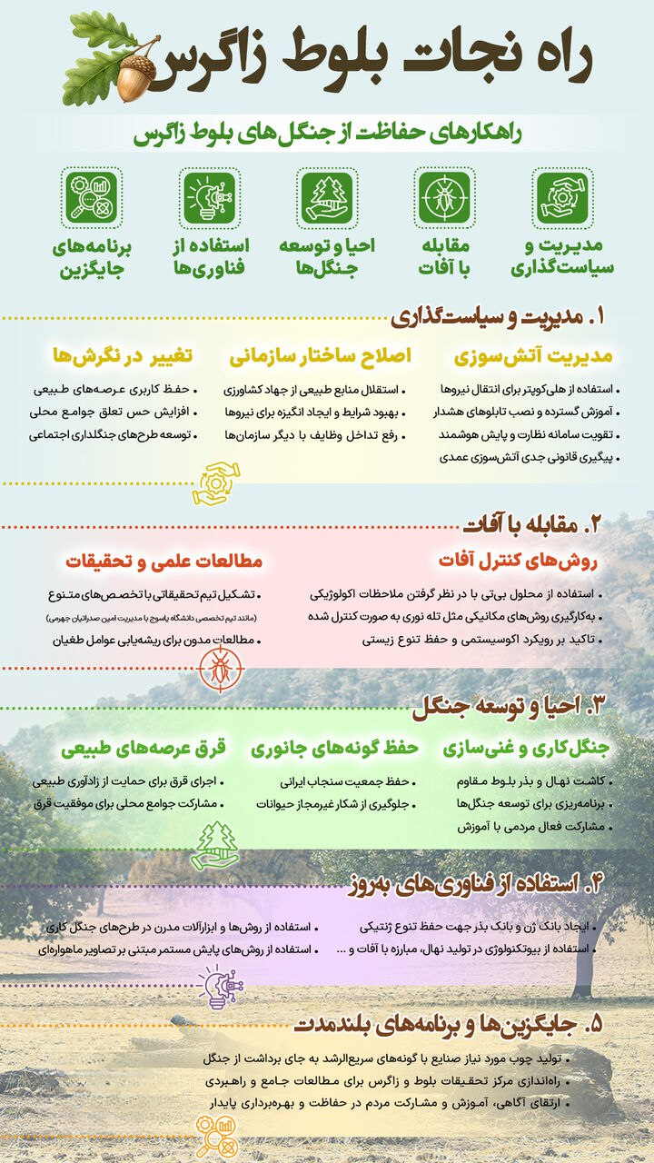 عکس ا راه نجات بلوط زاگرس