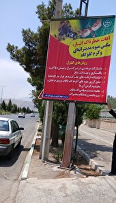 مبارزه با «کرم گلوگاه» و «مگس مدیترانه‌ای» با مشارکت مردم