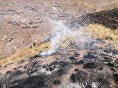 آتش‌سوزی گسترده در شهرستان طالقان با تلاش یگان حفاظت منابع طبیعی طالقان و همیاران طبیعت مهار شد