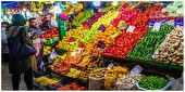 کشاورزی ساری باید اقتصادی و صادرات محور باشد