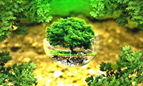 شیرکوه، تداوم زاگرس و البرز 