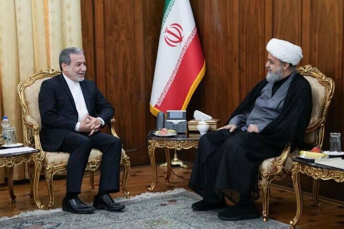 دبیرکل مجمع جهانی تقریب مذاهب اسلامی با عراقچی دیدار کرد