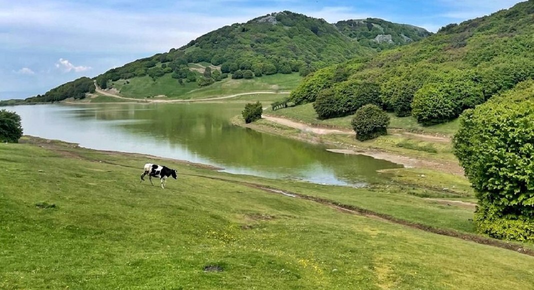 ۱۵ مقصد بکر و کم هزینه در ایران برای سفر تابستانی ۱۴۰۴؛ از دل کویر تا جنگل