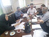 تایید ۳۱ طرح تسهیلات پرواربندی در استان مازندران با هدف رونق تولید