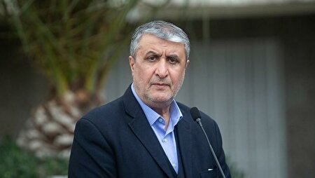 ببینید | جزئیات نظارت بازرسان آژانس از تأسیسات اتمی بوشهر از زبان رئیس سازمان انرژی اتمی