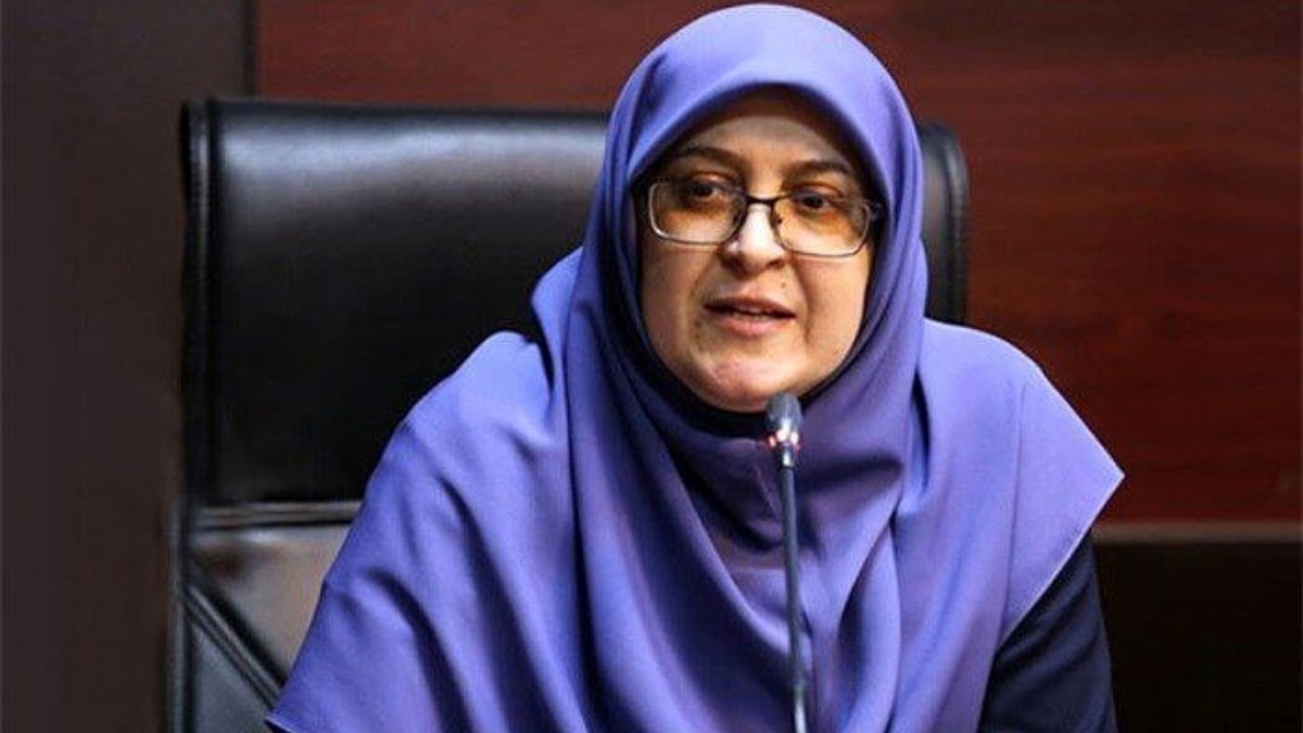 واکنش سخنگوی دولت به لغو کنسرت همایون شجریان