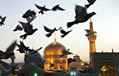بخش‌های دانش‌آموزی و دانشجویی در جشنواره‌های رضوی ایجاد می‌شود