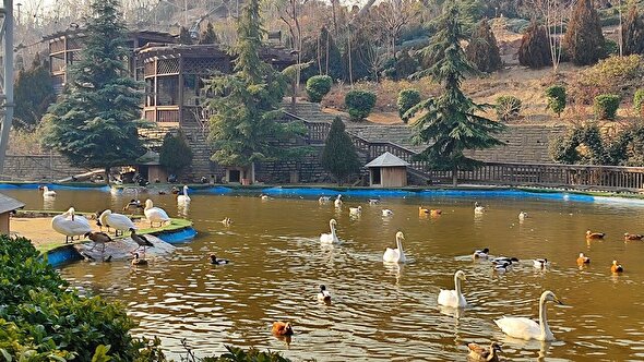 باغ پرندگان قم دارای ظرفیتهای ارزشمند زیست محیطی است