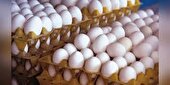 توقیف بیش از یک تن محموله تخم مرغ غیر مجاز در رامهرمز