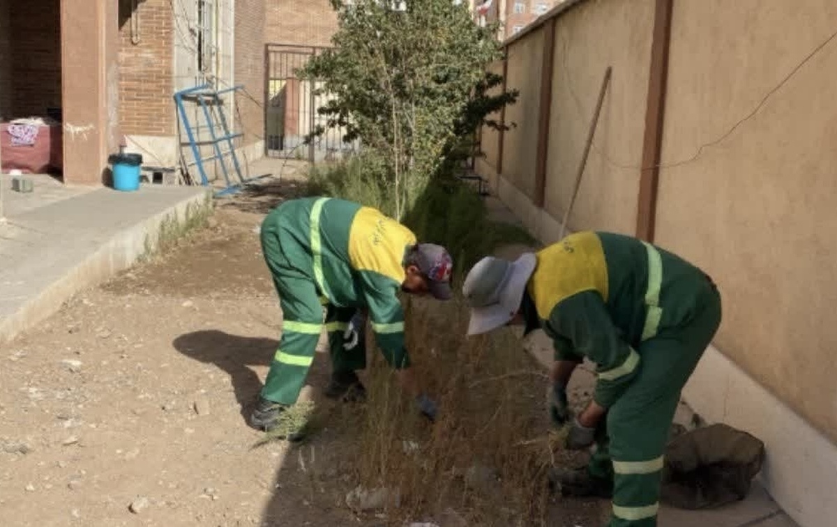 به منظور استقبال از سال تحصیلی جدید و در راستای بهسازی محیط‌های آموزشی، عملیات هرس، آماده‌سازی و زیرسازی محوطه مدرسه دکتر حسابی مهرگان توسط شهرداری محمدیه اجرا شد.  