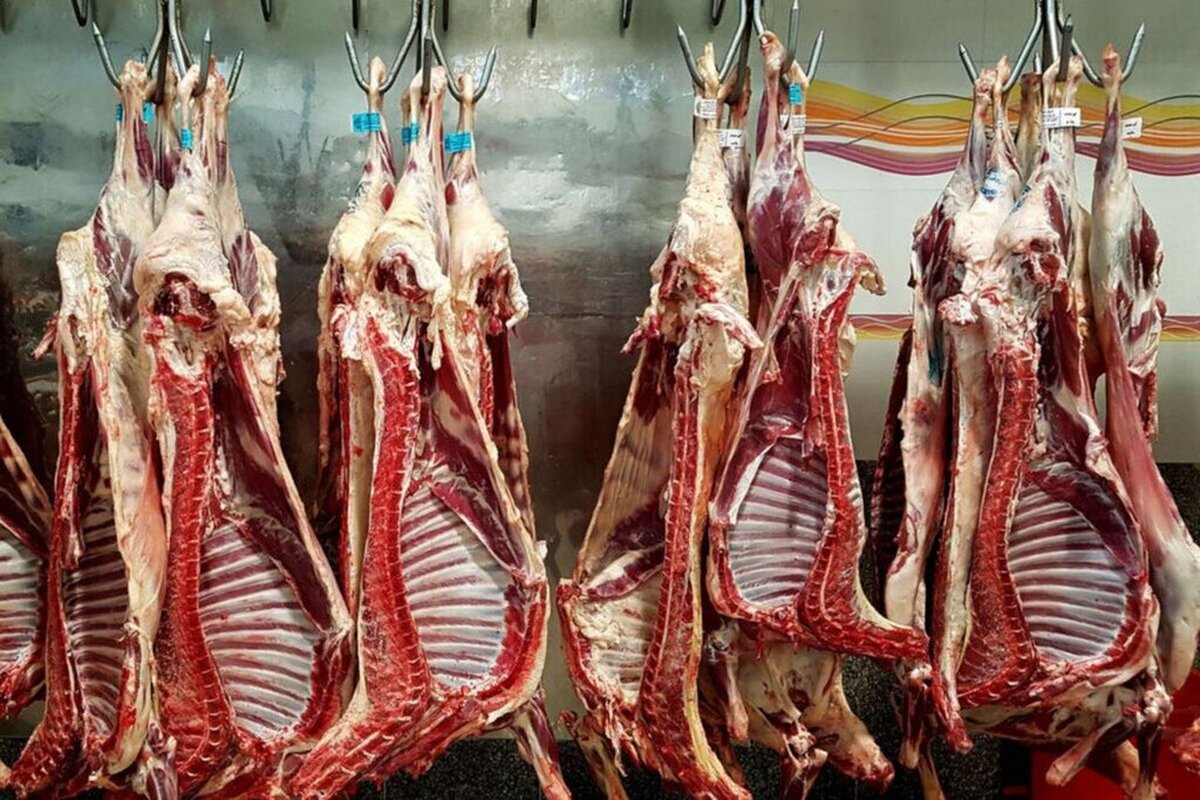 گرانی، گوشت‌مان را آب کرد