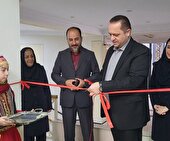 ۳ گالری هنری جدید در مازندران اضافه شد