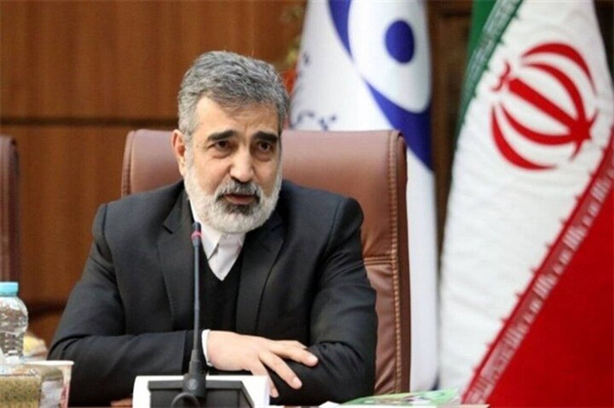 بازرسان آژانس بر تعویض سوخت نیروگاه اتمی بوشهر نظارت می‌کنند