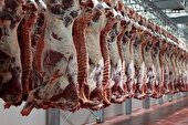 ضبط و معدوم سازی ۲۱ لاشه دام سبک بیمار در کشتارگاه دام شهرداری هفتکل