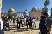 ورود ۴۰۰ شهرک نشین به مسجد الاقصی