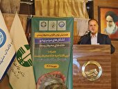مشهد کمترین میزان هدررفت فیزیکی آب کشور را دارد