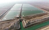 سیستان‌وبلوچستان پایتخت پرورش میگو