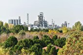 پتروشیمی تبریز پربازده ترین عملکرد را در شهریور رقم زد