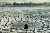 مرگ «نیلوفر» در سراب، سودجویان متهم ردیف اول