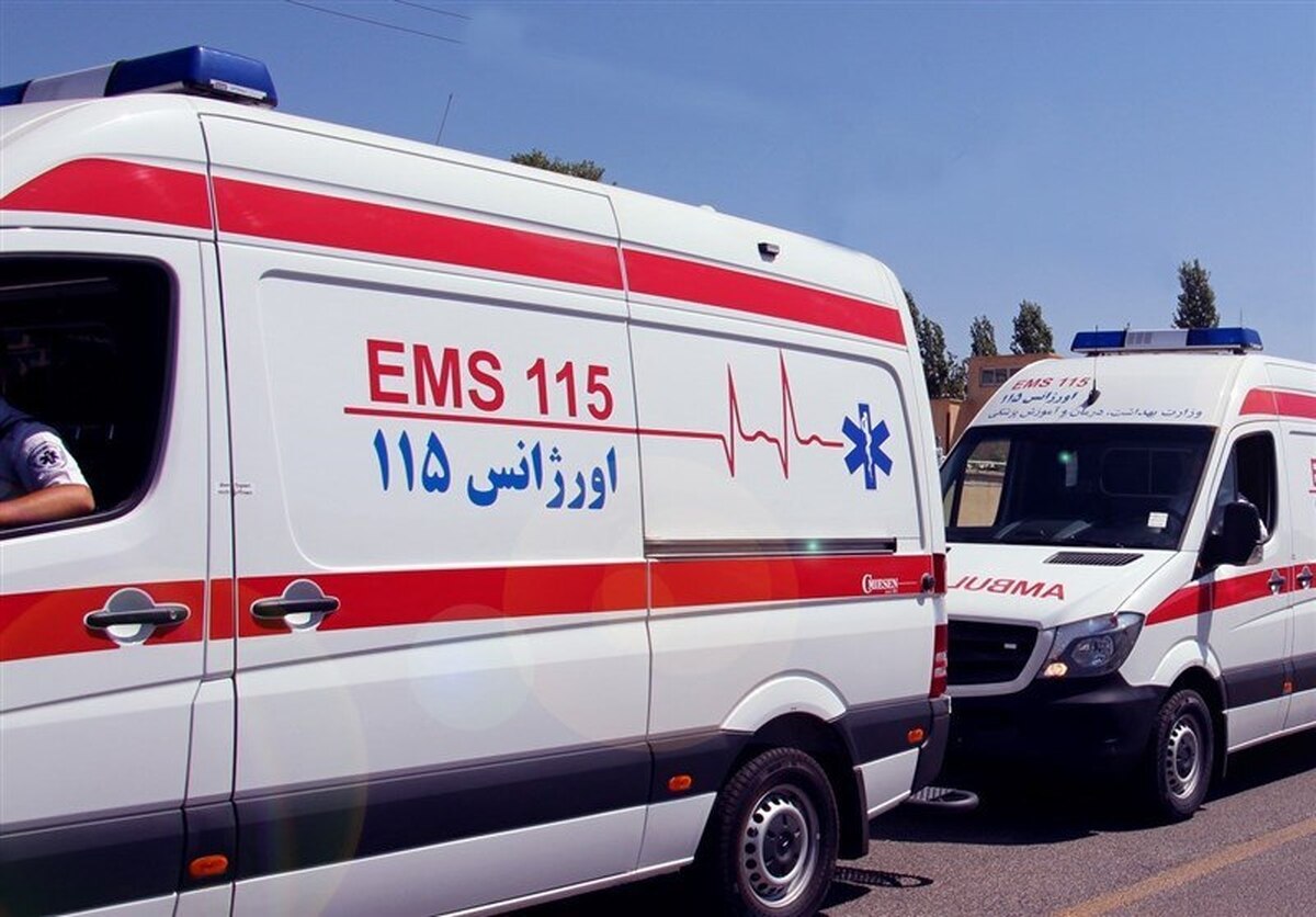 معاون قضایی رئیس کل دادگستری استان تهران افزود: پس از اخذ فهرست شماره تلفن‌های مزاحم در مرداد ماه سال جاری مشخص شد برخی از آن‌ها در یک ماه مکرراً بدون دلیل با اورژانس یا آتش نشانی تماس گرفته و با ایجاد مزاحمت، در انجام وظایف قانونی و خدمت رسانی دستگاه‌های مذکور اختلال ایجاد کرده اند؛ لذا حسب قانون خطوط تلفن افراد مذکور قطع شد.