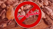 تداوم نظارت‌ها بر بازار فروش پرندگان فریدونکنار