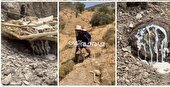 درآمد ۴۶۰ میلیارد ریالی باریجه و آنغوزه برای بهره برداران کهگیلویه و بویراحمدی