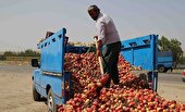 هدررفت غذای ۲۰ میلیون نفر از مزرعه تا سفره