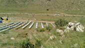 مزایای سرشماری کلنی های زنبور عسل از بیمه تا تسهیلات برای زنبورداران