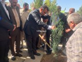 آغاز درختکاری کهگیلویه و بویراحمد با پویش مهر سبز