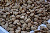 جشنواره بادام خسروشاه آغازی برای برندسازی و توسعه پایدار کشاورزی منطقه است