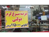 توزیع ۲۴۵۰ کیلوگرم مرغ گرم با قیمت مصوب در فروشگاه‌های جویبار