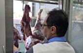 پلمپ 2 واحد قصابی و مرغ فروشی به دلیل تخلفات بهداشتی در قزوین