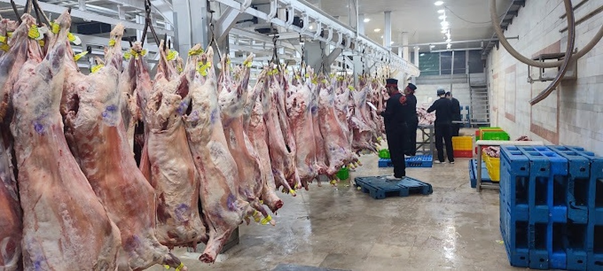 بازار گوشت قرمز در یک سال گذشته تحت تأثیر ترکیبی از عوامل عمدتا داخلی، روزهای پرالتهابی را پشت‌سر گذاشته و شاهد افزایش‌های شدید قیمتی بوده که قدرت خرید خانوارها خصوصا اقشار متوسط و ضعیف را به شکل چشمگیری کاهش داده است.عمده این بحران‌ها نشأت گرفته از افزایش بی‌سابقه و شدید قیمت نهاده‌های دامی از یک‌سو و کاهش واردات گوشت قرمز در سال جاری از سوی دیگر بوده است.