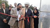 عبور از بحران کم آبی با توسعه کشت گلخانه ای