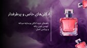 ادکلن‌های خاص و پرطرفدار؛ راهنمای خرید ادکلن ورساچه مردانه، ایوسن لورن زنانه و پیراسی اصل
