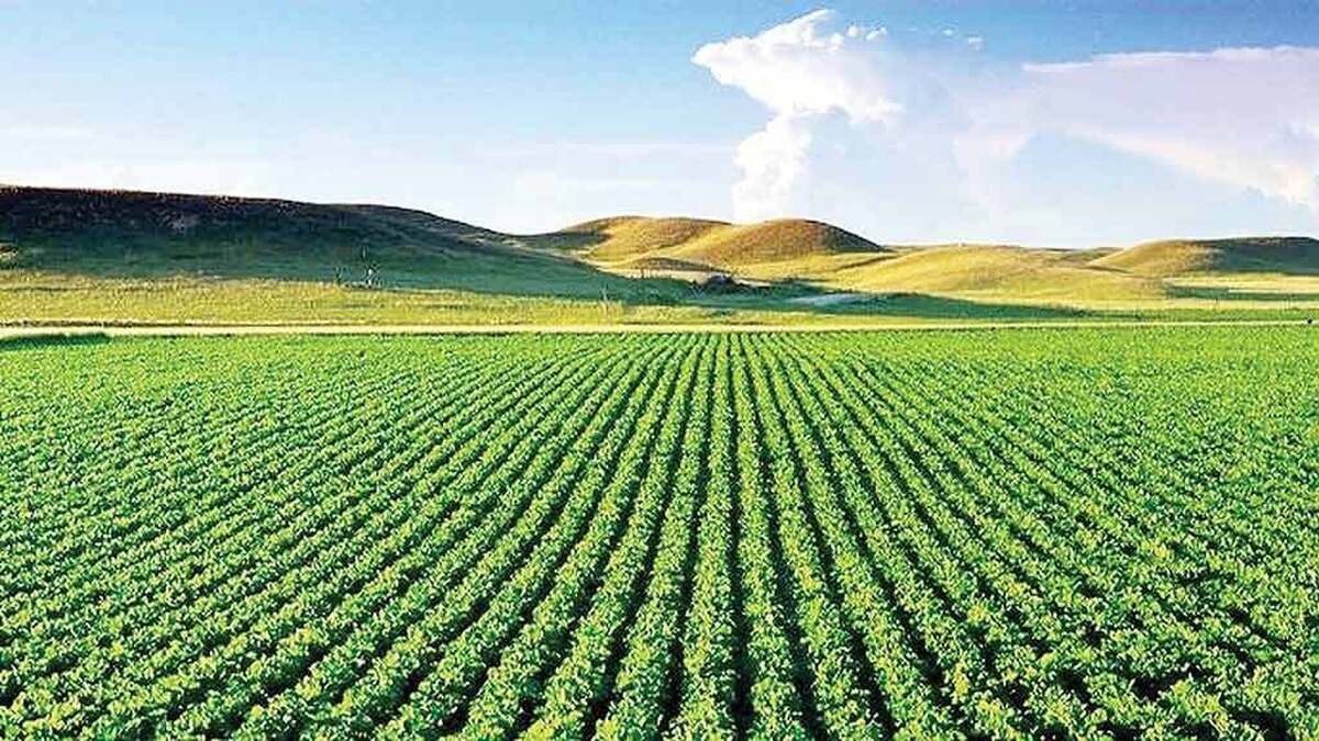 آذربایجان‌غربی با یک بحران آبی شدید روبه‌روست که بخش عمده آن ناشی از الگوی کشت نامناسب و مصرف آب در بخش کشاورزی است. به‌همین‌خاطر دریاچه ارومیه با ازدست‌دادن تقریبا کل حجم آب خود در وضعیت بحرانی قرار دارد. اجرای طرح تغییر الگوی کشت و جایگزینی محصولات کم‌آب‌بر، یکی از راهکارهای کلیدی برای صرفه‌جویی و رساندن حقابه به این دریاچه است.