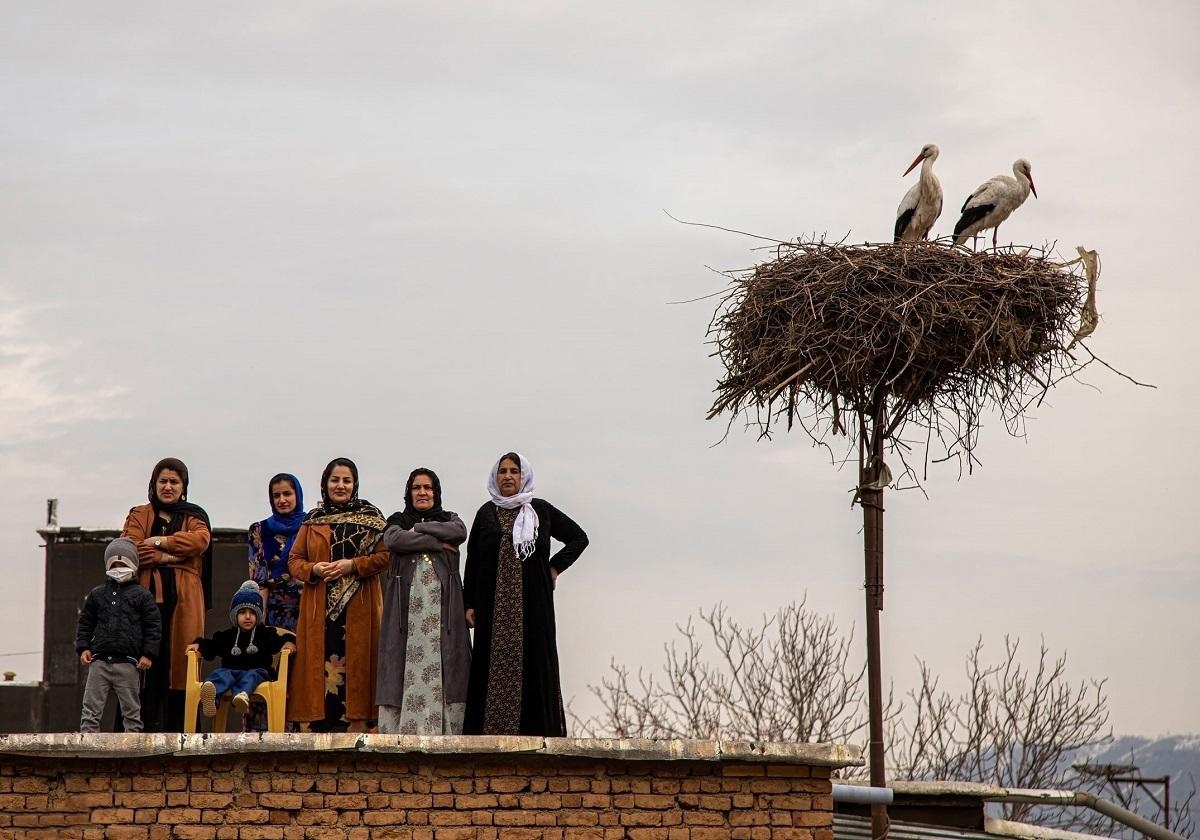 شبکه مستند با تولید مستند جدید «خانه‌ای برای لک‌لک‌ها» به کارگردانی و تهیه‌کنندگی اعظم مرادی، به روایت همزیستی مردم روستای کپر در شهرستان بروجرد با لک‌لک‌های مهاجر می‌پردازد.  این فیلم داستانی است درباره ارتباط عاطفی بین انسان و طبیعت، جایی که تالاب بیشه‌دالان به عنوان قلب تپنده زیست‌بوم منطقه، سرنوشت انسان‌ها و جانوران را به‌هم پیوند می‌دهد.