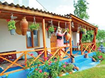 مهاجرت معکوس جوانان کرمانشاهی