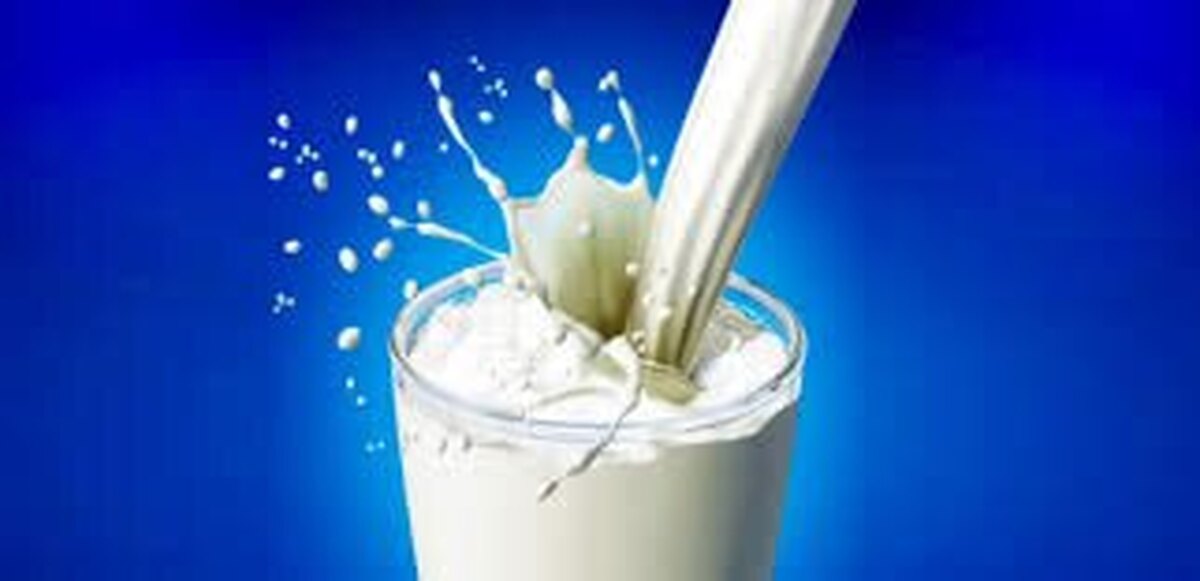 کیفیت شیر مراکز تولیدی استان در حد استاندارد اتحادیه اروپا است