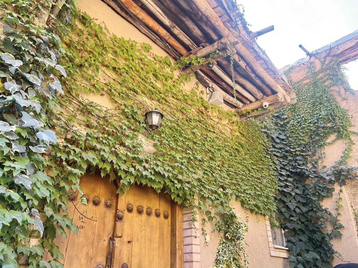 روستای خشوئیه در باغ‌بهادران و بخش لنجان استان اصفهان واقع شده و به‌عنوان «جزیره سبز زاینده‌رود» شناخته می‌شود. این روستا میان دو شاخه زاینده‌رود قرار دارد و دارای چنار کهنسالی است که بیش از ۷۰۰ سال عمر دارد. این درخت نماد هویت تاریخی و فرهنگی روستا محسوب می‌شود و به‌عنوان یک جاذبه طبیعی، توجه بازدیدکنندگان را به خود جلب می‌کند.