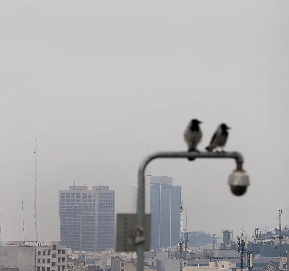 آسمان تهران در دود گم شده و آلودگی هوا برای شهروندان شمشیرش را از رو بسته است. پیش‌بینی‌های سازمان هواشناسی نیز از این حکایت دارد که نمی‌توان به باران یا باد امیدوار بود که آلودگی را از هوای تهران بشوید و در چنین شرایطی کارشناسان به شهروندان به‌خصوص گروه‌های حساس توصیه می‌کنند از تردد در فضای باز خود‌داری کنند. این درحالی است که بسیاری از کلانشهرهای آلوده دنیا با مدیریت مناسب توانسته‌اند که آلودگی ‌هوا را کنترل کنند اما در کشورمان برای مهار این شرایط که هر سال حدود ۵۰ هزار نفر را به کام مرگ می‌فرستد، قوانینی نوشته می‌شود که هیچ‌گاه به مرحله اجرا نمی‌رسد.