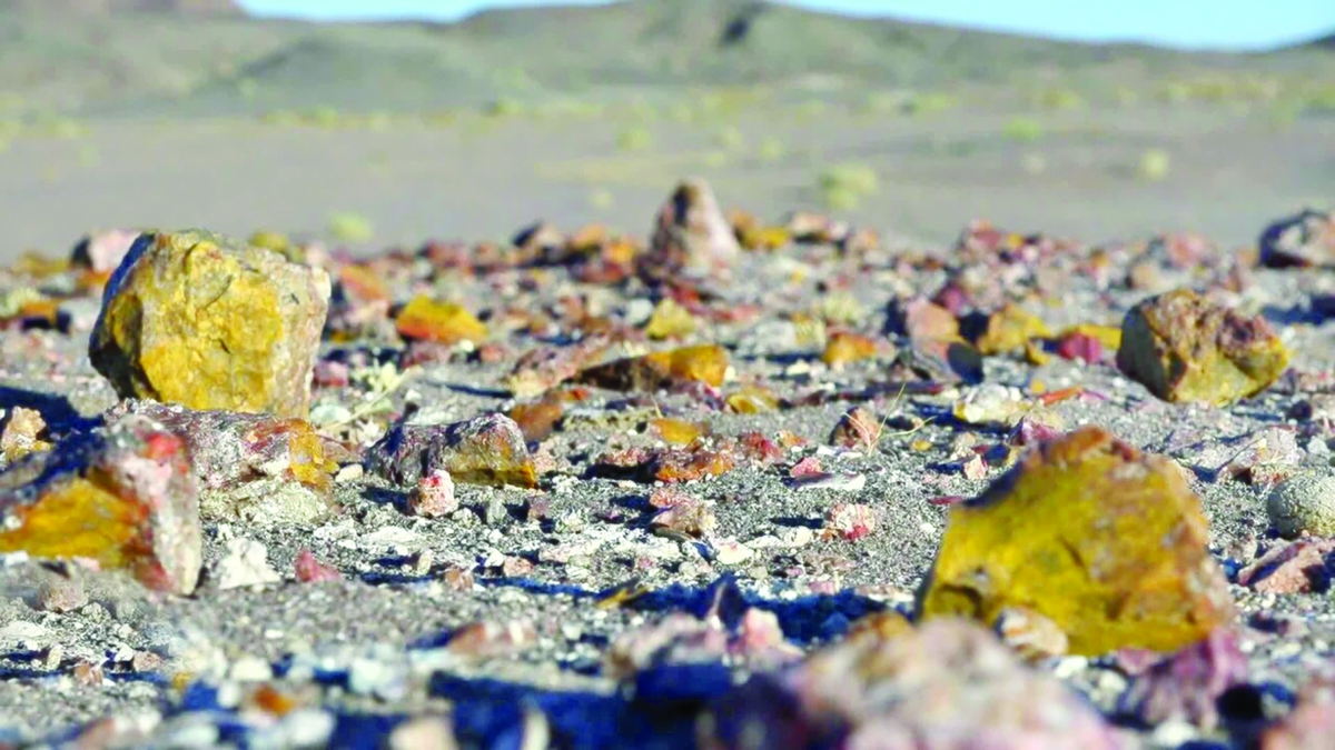 خراسان جنوبی با معادن مختلف و مرز طولانی با افغانستان، ظرفیت‌های اقتصادی قابل توجهی دارد که در صورت توسعه زیرساخت‌ها و اجرای برنامه‌های هدفمند، می‌تواند به کانون تجارت و اشتغال‌زایی بدل شود.