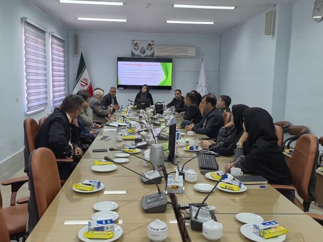 سلامت روان و جسم؛ دو مؤلفه مکمل توسعه