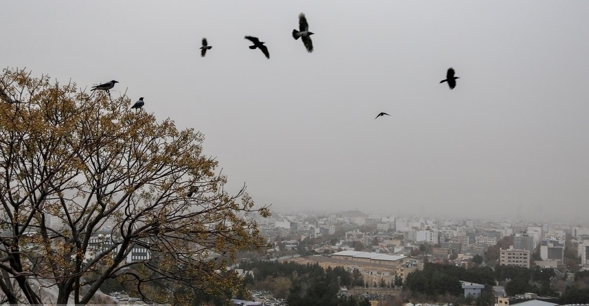 سازمان هواشناسی کشور پیش بینی کرد تا جمعه در بیشتر مناطق کشور جو آرام و پایدار ادامه خواهد داشت.