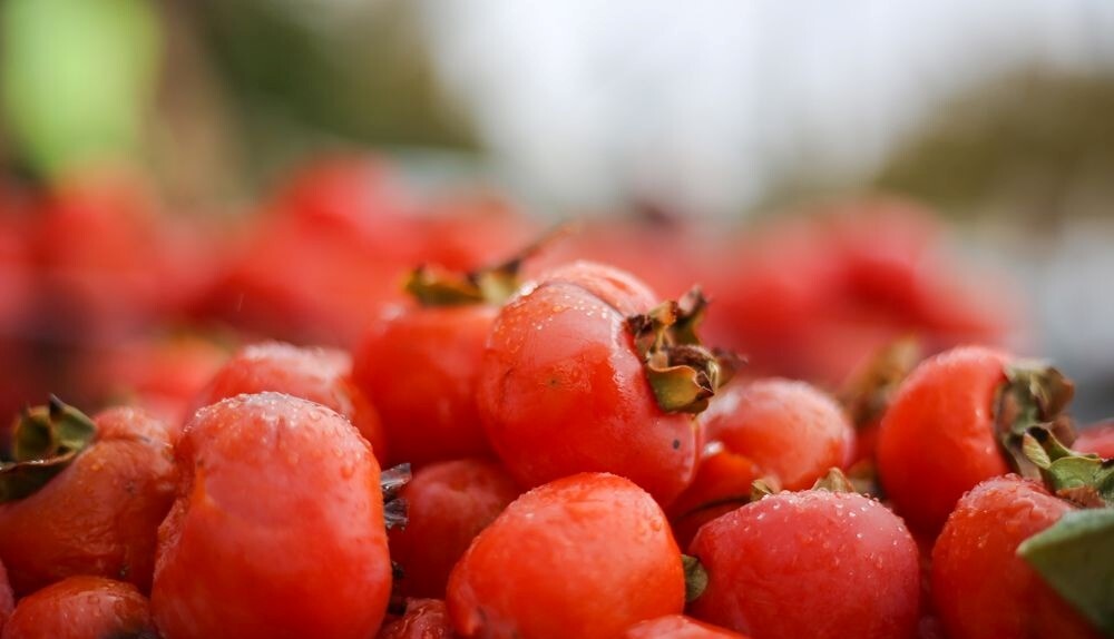 آغاز به‌کار جشنواره ملی انار و خرمالوی شیراز