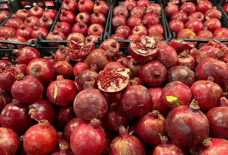 آغاز به‌کار جشنواره ملی انار و خرمالوی شیراز