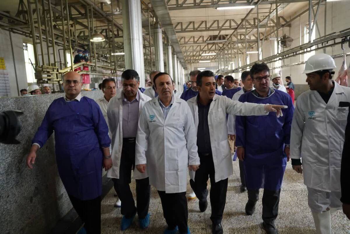 در چارچوب برنامه «چهارشنبه‌های صنعت،گردشگری، کشاورزی»، محمد نوذری استاندار قزوین از چند واحد کشاورزی شهرستان قزوین بازدید کرد.