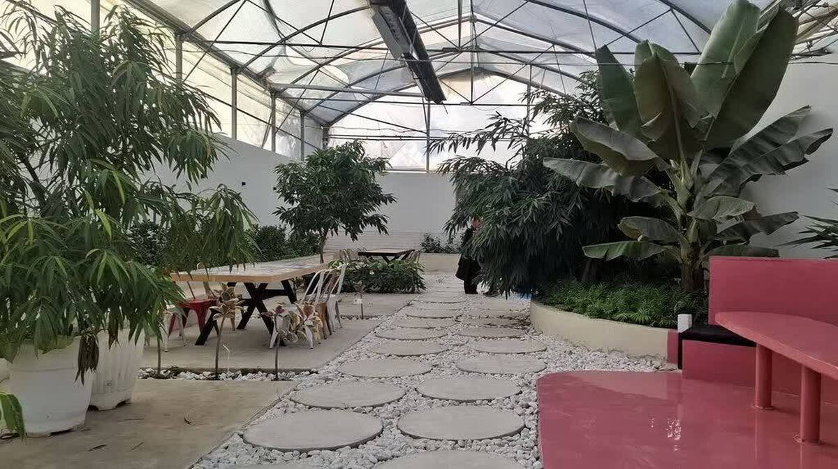 مجتمع گردشگری کشاورزی «گلخانه بین» با هدف توسعه گردشگری پایدار و پیوند دوباره انسان و طبیعت فعالیت خود را آغاز کرد.