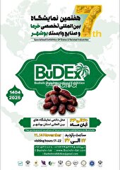  ضیافت پاییزی خرما 